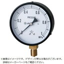 右下精器製造 右下圧力計AVT3/8×100×01MPa G411211V0MPA