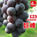 本州送料無料 クール便Farmer's Market@UNUで大人気! 山梨県勝沼天野ぶどう園の種無し巨峰 秀品 4kg ファーマーズマーケット青山で女性に大人気の巨峰4kg ギフト 贈答品 巨峰 種無し 巨峰