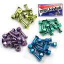 スケボー スケートボード ビス PIT BULL SCREWS PROPAGANDA CHROMECOLOR サイズ #1 スクリュー【クエストン】