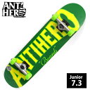 コンプリート ANTI HERO アンチヒーロー IT'S THE WOOD MINI デッキサイズ 7.3インチ ANC-007 完成品 組立て済 スケートボード スケボー