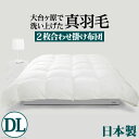【送料無料】 羽毛布団 2枚合わせ掛け布団 ダブル 日本製 ロイヤルゴールド スペイン産ホワイトダック 成熟羽毛寝具シリーズ 真羽毛 ダブルサイズ ロングサイズ 羽毛ふとん 掛布団 抗菌 防臭 国産 掛けふとん かけふとん 布団 軽量 国内洗浄 アレルギー 90400053