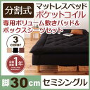 分割式ポケットコイルマットレスベッド 脚30cm 専用敷きパ...