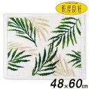 乾度良好 足ふきマット バスマット パームリーフ 48×60cm ホワイト