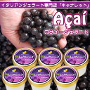 【冷凍限定・同梱不可・送料無料】イタリアンジェラート専門店「キャナレット」のアサイージェラート6つのフレーバーセット(カップ入り)