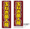 10枚セットのぼり旗 玉ねぎ苗入荷 受注生産品