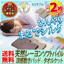 タオルケット 敷きパッド 2点セット セミダブル 夏 冷感 タオル地送料無料 あす楽対応 レーヨンソフトパイル涼感タオルケット 敷パッド 肌掛け 布団 ふとん 吸水 速乾 ひんやり クール 洗える 軽い ピンク ブラウン 父の日【D】