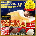 ウルトラシンサレート 掛け布団 ダブル送料無料 国産 日本製 羽毛よりも薄くて暖かい!魔法の布団 シンサレートウルトラ掛布団 ダブル 羽毛布団より温かい Thinsulate 3M 軽い 水洗い洗える 可能 保温性 暖かい かけ布団 掛け布団 清潔安心【D】