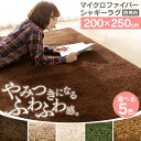 シャギーラグ 200×250 マイクロファイバー 57074305 送料無料 カーペット ラグ 防ダニ 抗菌 防臭 洗える シャギー 無地 床暖対応 ホットカーペット対応 滑り止め おしゃれ 北欧 丸洗い ベージュ ブラウン アイボリー グリーン キャメルゴールド 子供部屋【D】【☆】