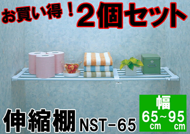 ≪お買い得！2個セット≫伸縮棚　NST-65≪幅65〜95cm用≫つっぱり棚・突っ張り棚・アイリスオーヤマ【家具】【収納術】【Aug08P3】