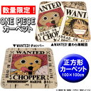 ONE PIECE≪麦わら海賊団・チョッパー≫カーペット【100×100cm】LUF-1010・CHO-1010【アイリスオーヤマ】ワンピース・ルフィ・絨毯・マット・ラグ【Aug08P3】