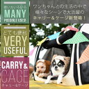 【タイムセール/返品・交換不可】*メール便不可*Bellim...