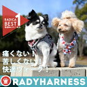 *1点のみメール便選択可* 【犬 イヌ ドック dog 小型...