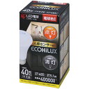 アイリスオーヤマ LDR5L-H-S6