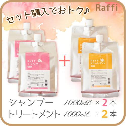 ◆ラフィーシャンプー1 000ml×2点／トリートメント1000ml×2点◆サロン専売品 ナノアミノ...:raffi-hair:10000004