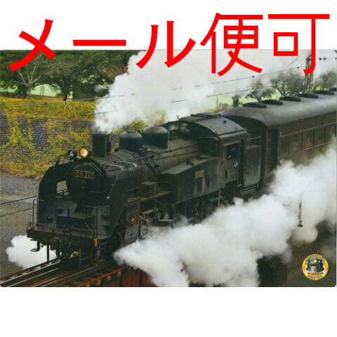 A4　SL　下敷き　d （C11227 　蒸気を吐く雄姿） 【大井川鉄道】【鉄道グッズ】