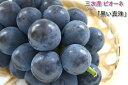 【進物に最適】広島ぶどうの逸品三次ピオーネ特秀品1kg箱高級...