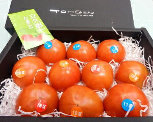 【フルーツトマト】贈り物にいかがですか♪【高糖度トマト】島根のフルーツ【立久恵トマト】【2sp_120706_a】数量限定の希少品！糖度10度以上のこだわりトマト