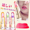カラーお任せ4点セット 福袋 日本限定モデル カイリジュメイ kailijumei Magic color 正規品 リップ スティック 口紅 ドライフラワー マジックカラー リップバーム フラワー ジェリー 正規品保証 シリコンパフ お任せ2点セット プレゼント メール便送料無料