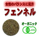 オーガニックハーブティ■フェンネル　有機JAS100g■ポイント10倍中！