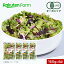 100%オーガニック 野菜サラダ 160g x 4袋【ミックス】 2,580円