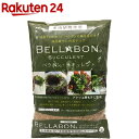ベラボン サキュレント(1L)