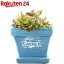 暮らし良い品 植木鉢 スクエアバンドポット S ブルー 11*11*9cm(1コ入)【暮らし良い品】