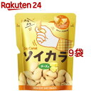 ソイカラ チーズ味*9コ(27g9コセット)【ソイカラ】