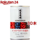 【訳あり】健康道場 4つのベリーの恵み(160g*30コセッ...