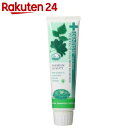 デンティス チューブタイプ 100g【楽天24】[