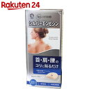 シルバーエンピシン 21本入