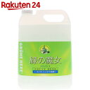 緑の魔女 キッチン 業務用 5L【HOF07】【イチオシ】【rank_review】