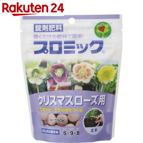 v~bN NX}X[Yp 150gyyV24z[nC|lbNX 엿]