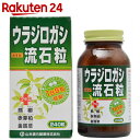 ウラジロガシ 流石粒 240粒