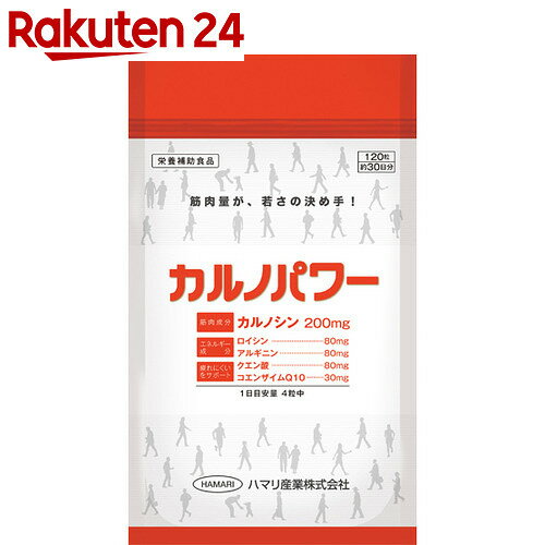 カルノパワー 120粒【楽天24】[カルノシン]