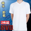 BVD NEW BASIC STYLE VネックTシャツ2枚組ホワイトNB204【販売：BVD】【税込3900円以上で送料無料】