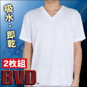 BVD NEW BASIC STYLE 深VネックTシャツ2枚組ホワイトNB205【販売：BVD】【税込3900円以上で送料無料】