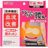 血流改善　腰ホットン　5枚入り【販売：パパママ】【税込3900円以上で送料無料】