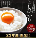 千葉県産 新米 こしひかり10kg(5kg×2)