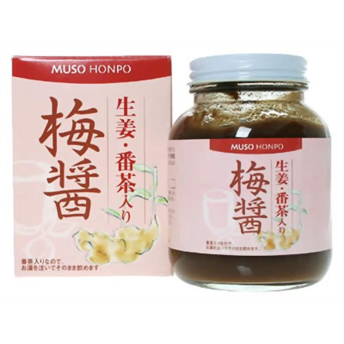 梅醤 生姜・番茶入り 250g【販売：ケ ン コ ー コ ム】【税込3900円以上で送料無料】