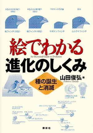 絵でわかる進化のしくみ 種の誕生と消滅【電子書籍】[ 山田俊弘 ]