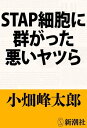 STAP細胞に群がった悪いヤツら【電子書籍】[ 小畑峰太郎 ]