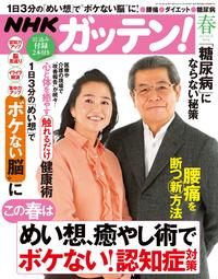 NHKガッテン！ 2017年 05月号心と体を癒やす〈触れるだけ〉健康術【電子書籍】[ 主婦と生活社 ]