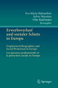 Erwerbsverlauf und sozialer Schutz in EuropaEmployment Biographies and Social Protection in Europe . Les parcours professionnels et la protection sociale en Europe【電子書籍】