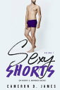 Sexy Shorts: Gay Hookups and Anonymous Quickies: Volume One【電子書籍】[ Cameron D. James ]
