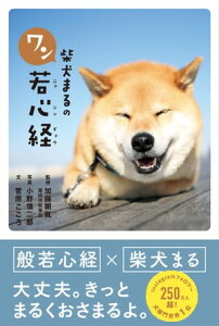 柴犬まるのワン若心経【電子書籍】[ 加藤朝胤 ]