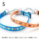 【メール便のみ送料無料】メール便...