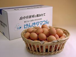 普段使い卵160個入