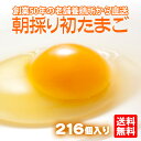 【送料無料 九州熊本産】 たまご 卵 玉子 卵焼き たまごかけごはん 朝採り 初 たまご 216個 (破損補償20個含む) 【美味しい 卵 九州 熊本県産 新鮮】