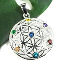 フラワーオブライフ(生命の花) チャクラ キュービックジルコニア スターリングシルバー ペンダントトップ|ツリーオブライフ(生命の樹) |旧約聖書|知恵の樹|アダムとイヴ|シルバー925|ツリーオブライフ|ネックレス【メール便対応可】