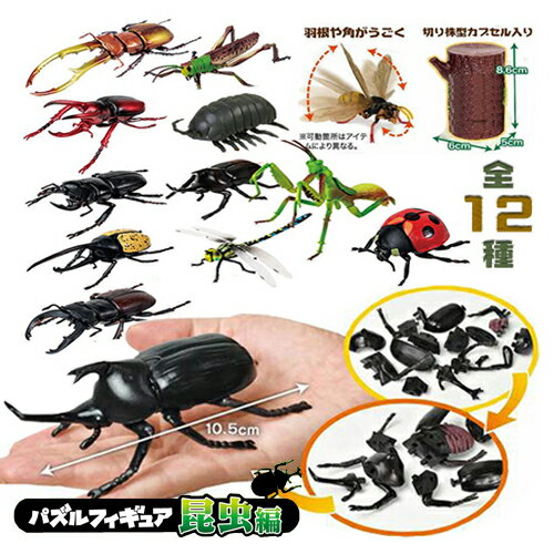 送料無料【12体セット　超リアル　ビッグ　昆虫　4D パズル　フィギュア 】甲虫　ヒラタクワガタ　虫　ムシ　カブトムシ　クワガタムシ　クワガタ　模型　子ども　夏　カブト　ムシキング　おもちゃ　ディスプレイ　大きい　ヘラクレスオオカブト　アトラスオオカブト　立体